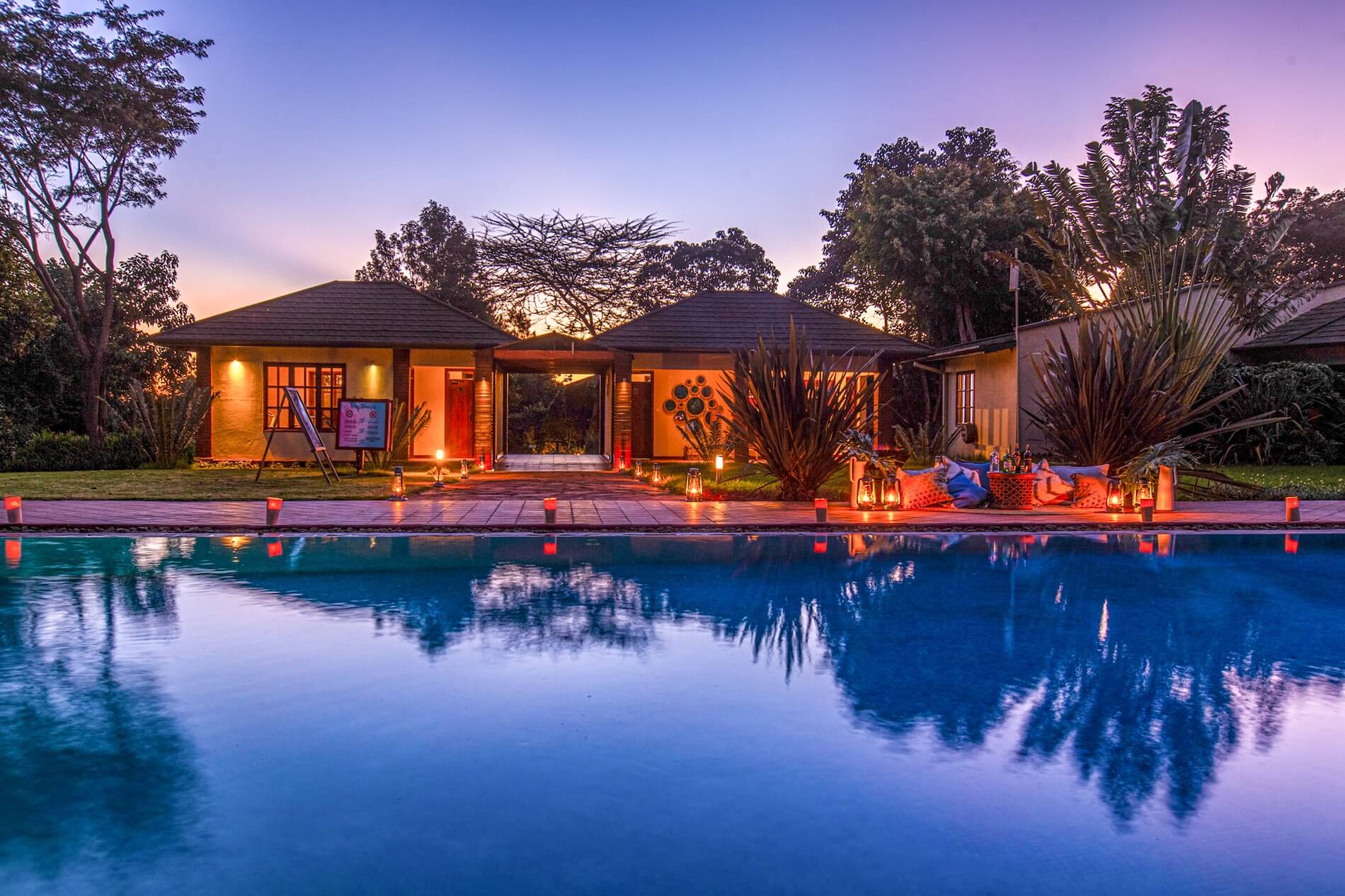 safari-through-the-nature