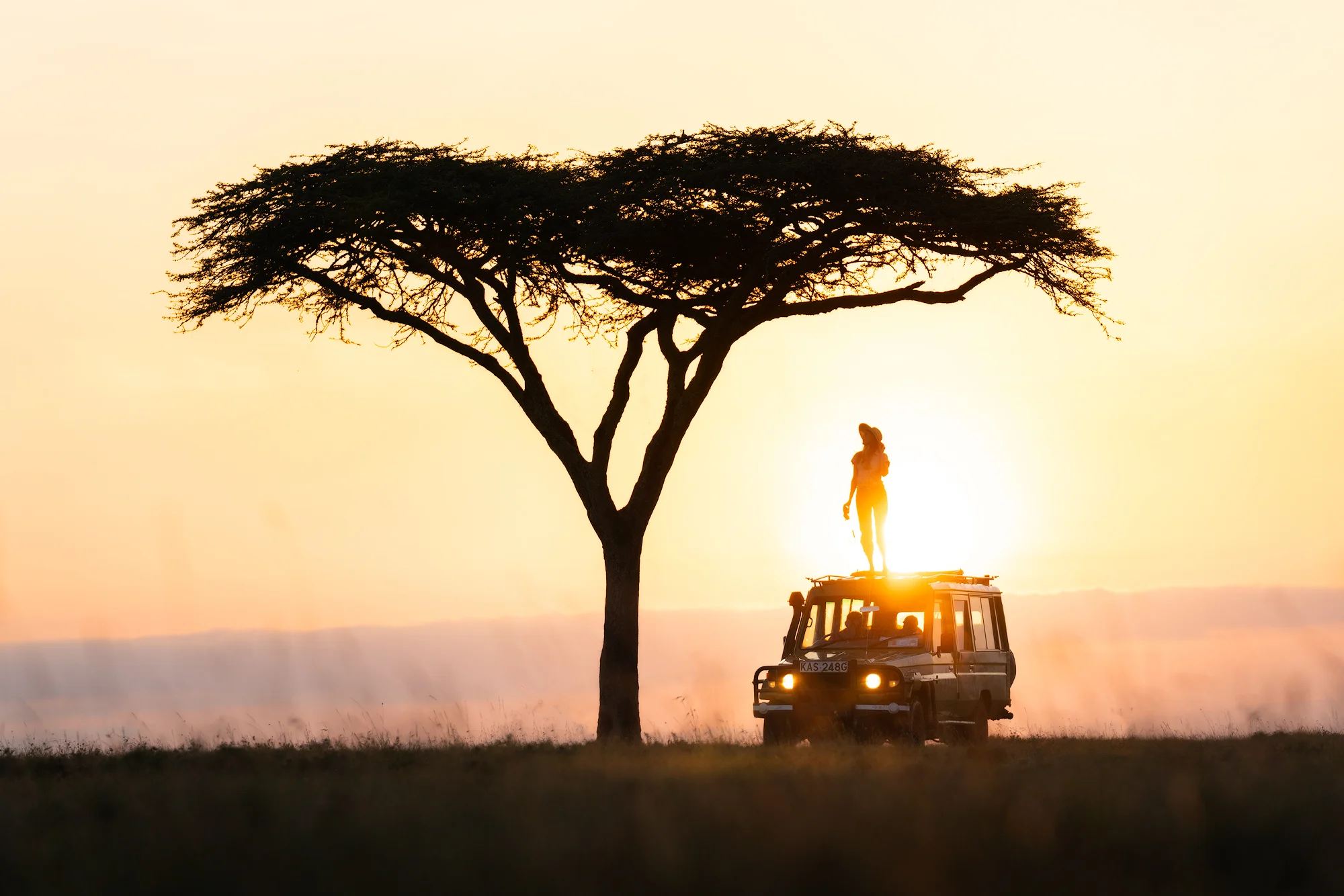 Acacia-Tree-In-Serengeti